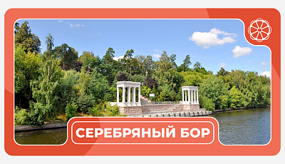 Серебряный Бор