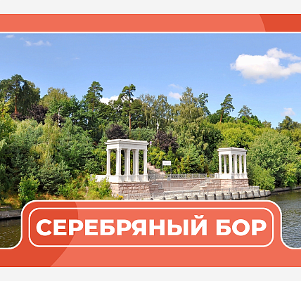 Серебряный Бор