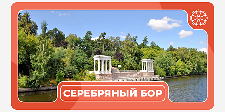 Серебряный Бор